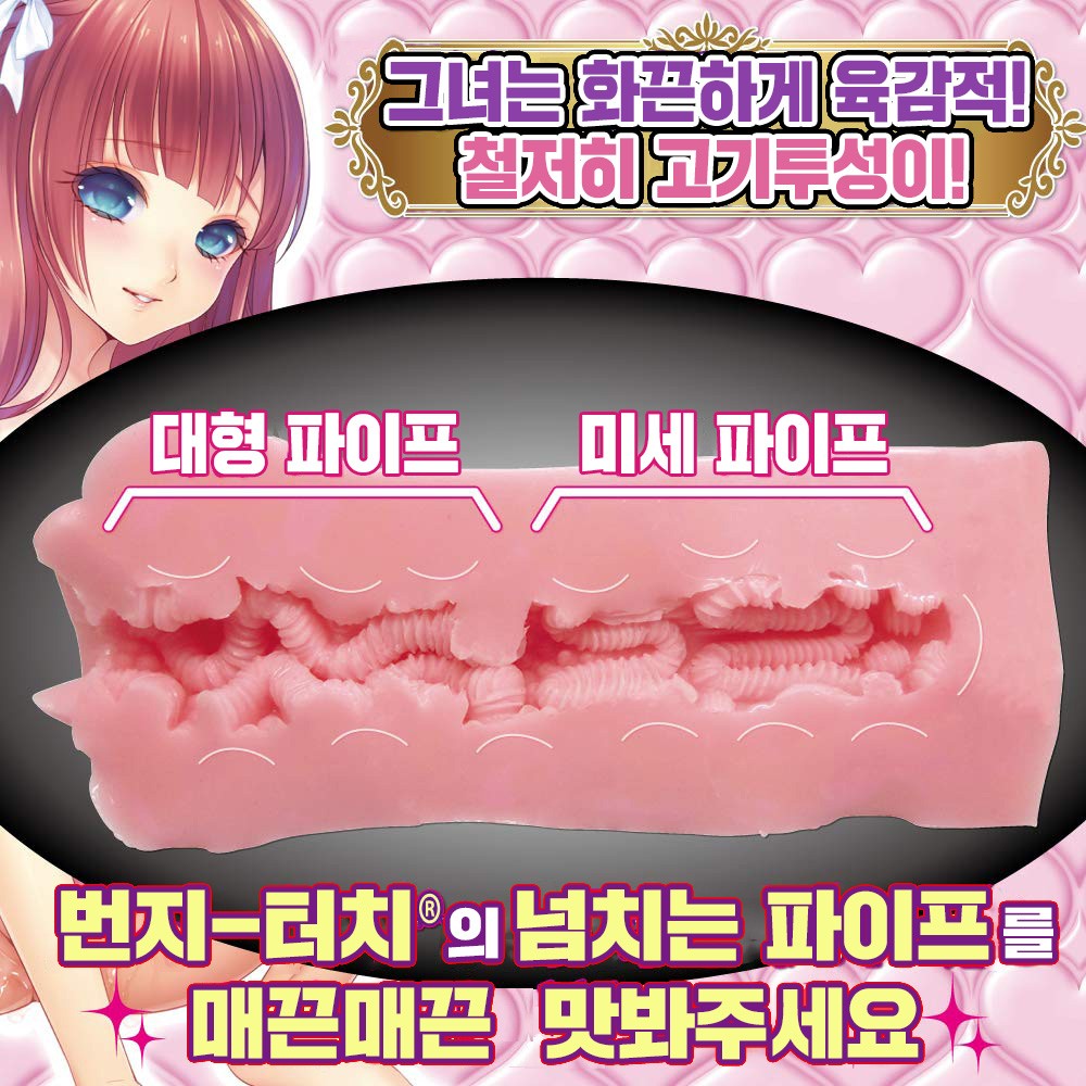 고기두둥! 파이피나 설명
