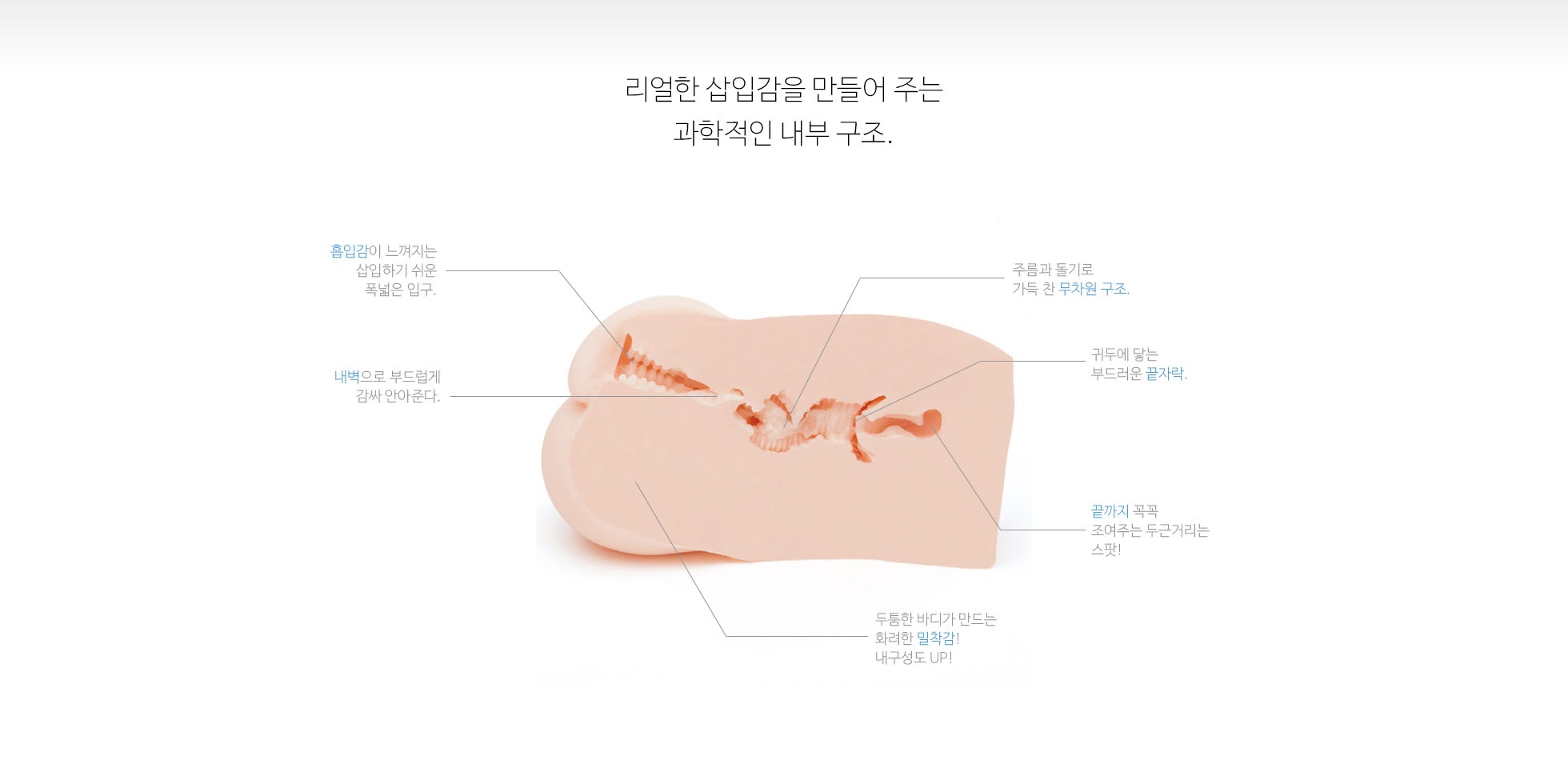 푸니버진 1000 설명