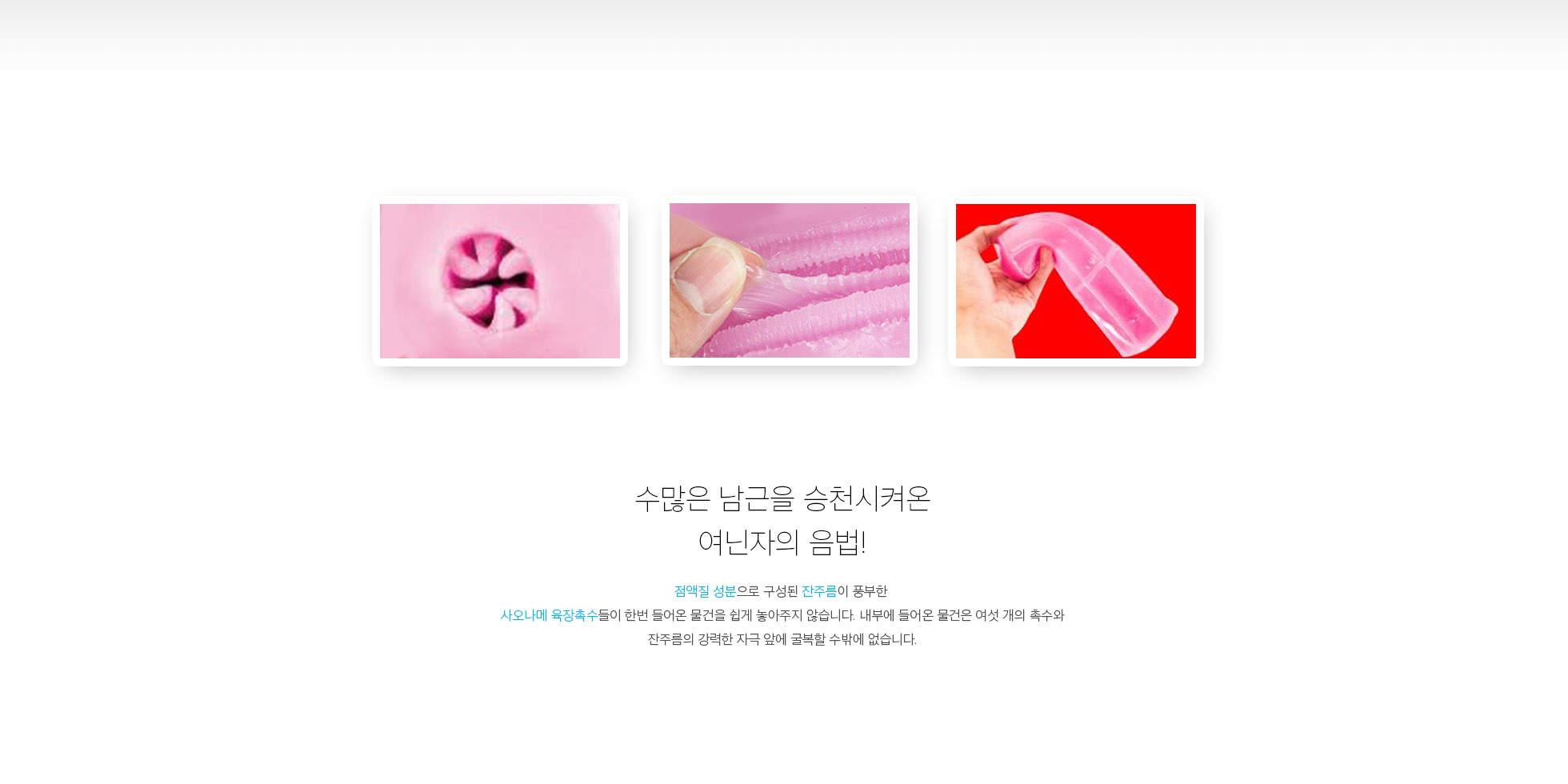 수리검 소프트 설명