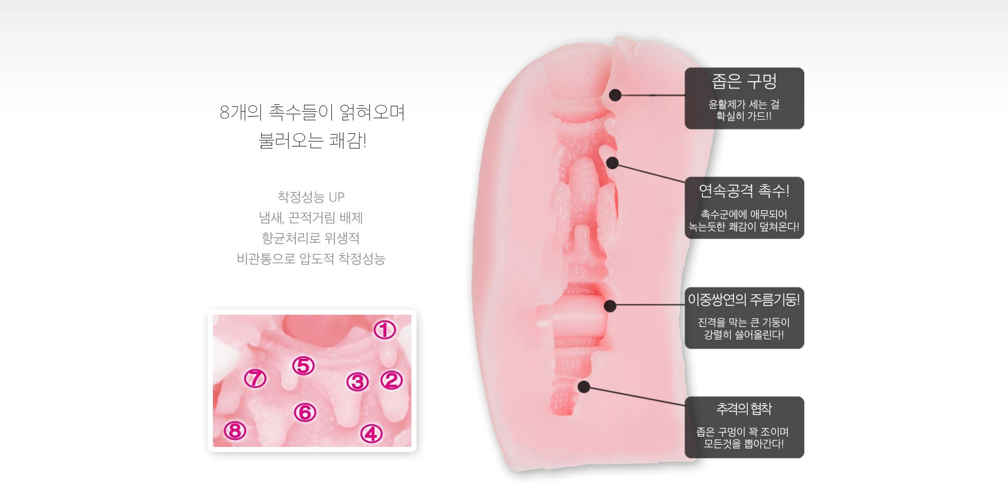 음마왕 서큐에스 설명