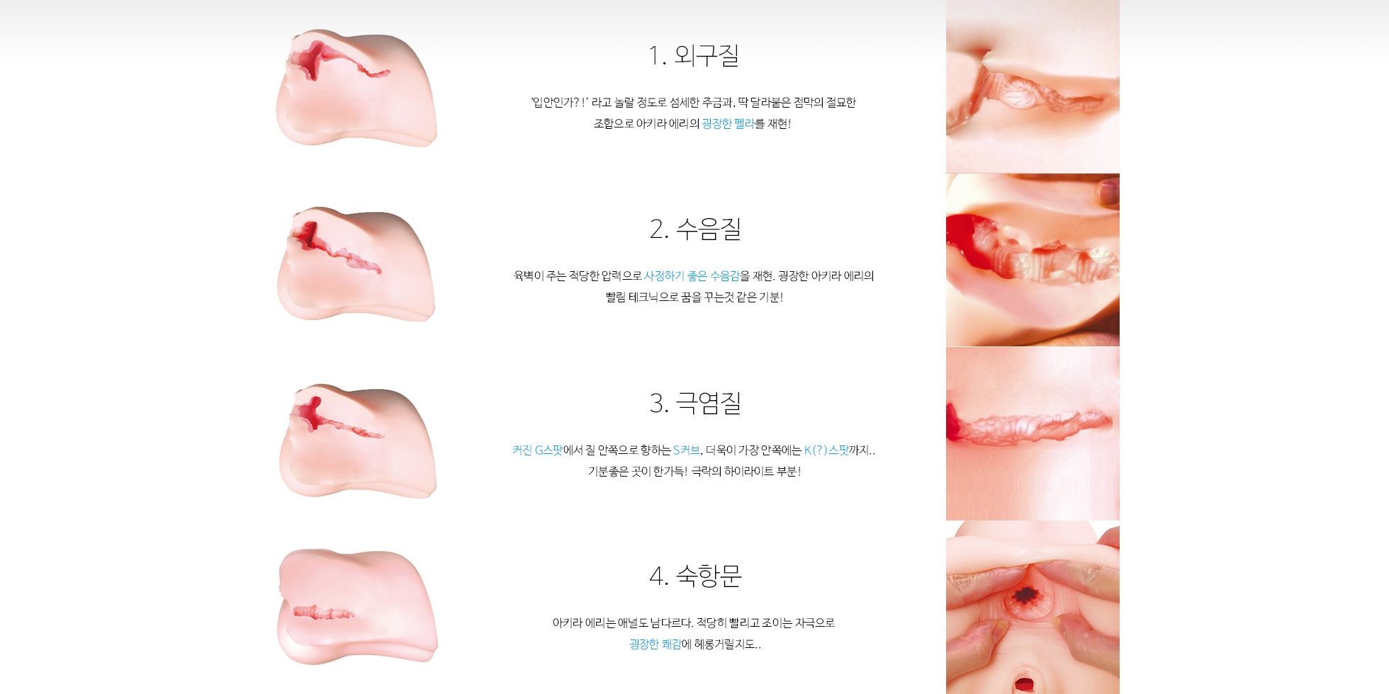 아키라 에리의 명기 4개의 구멍 설명