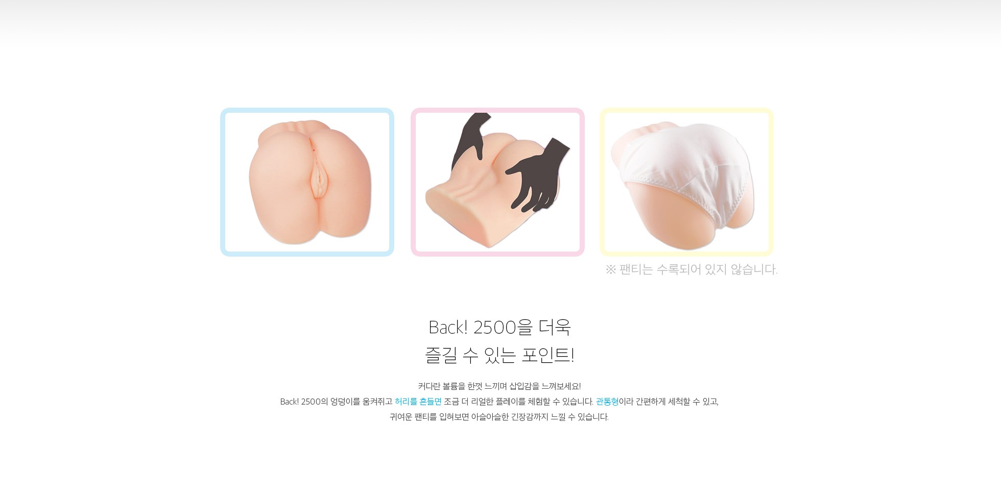 Back! 2500 설명