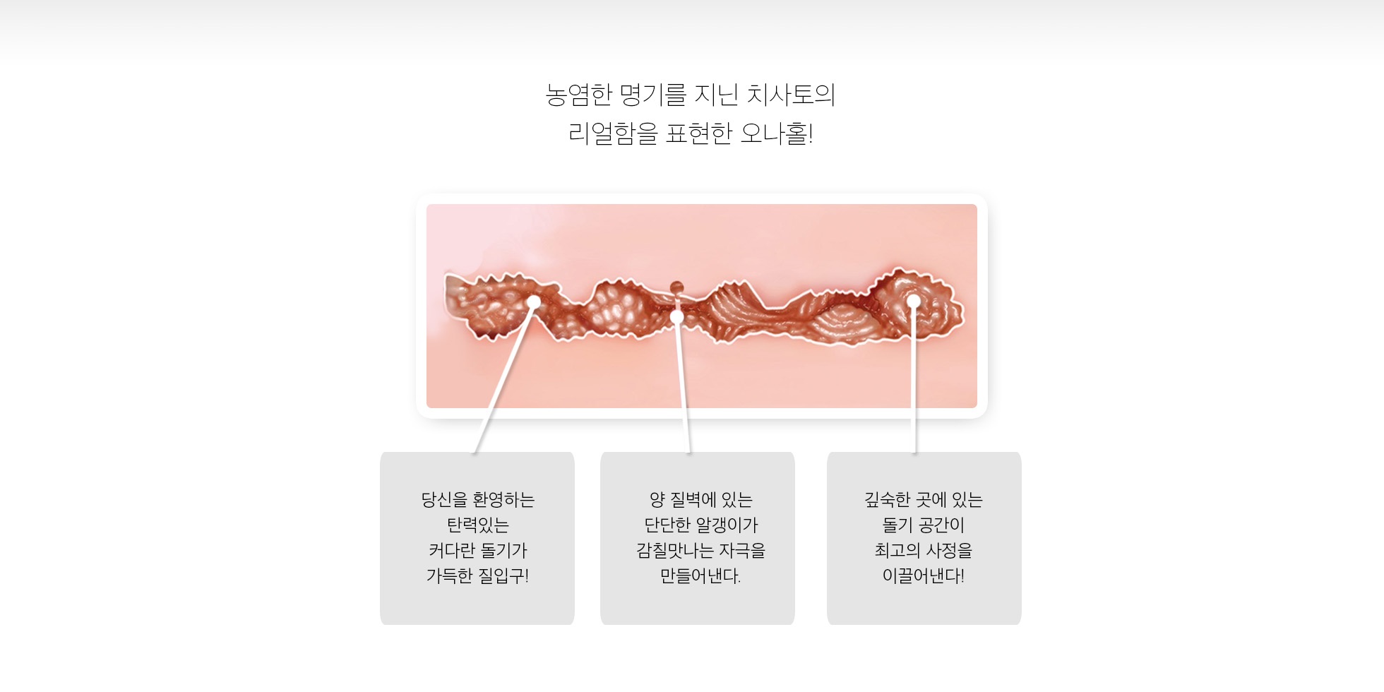 숙녀의별 치사토 쇼다 설명