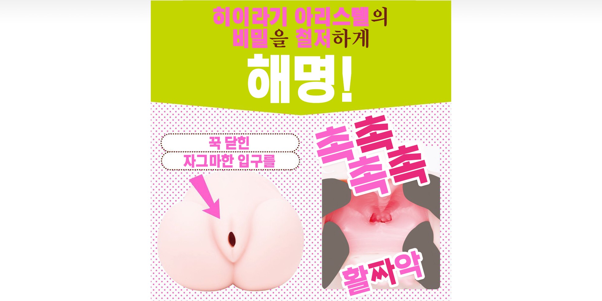 납작가슴 연구소 소프트 설명