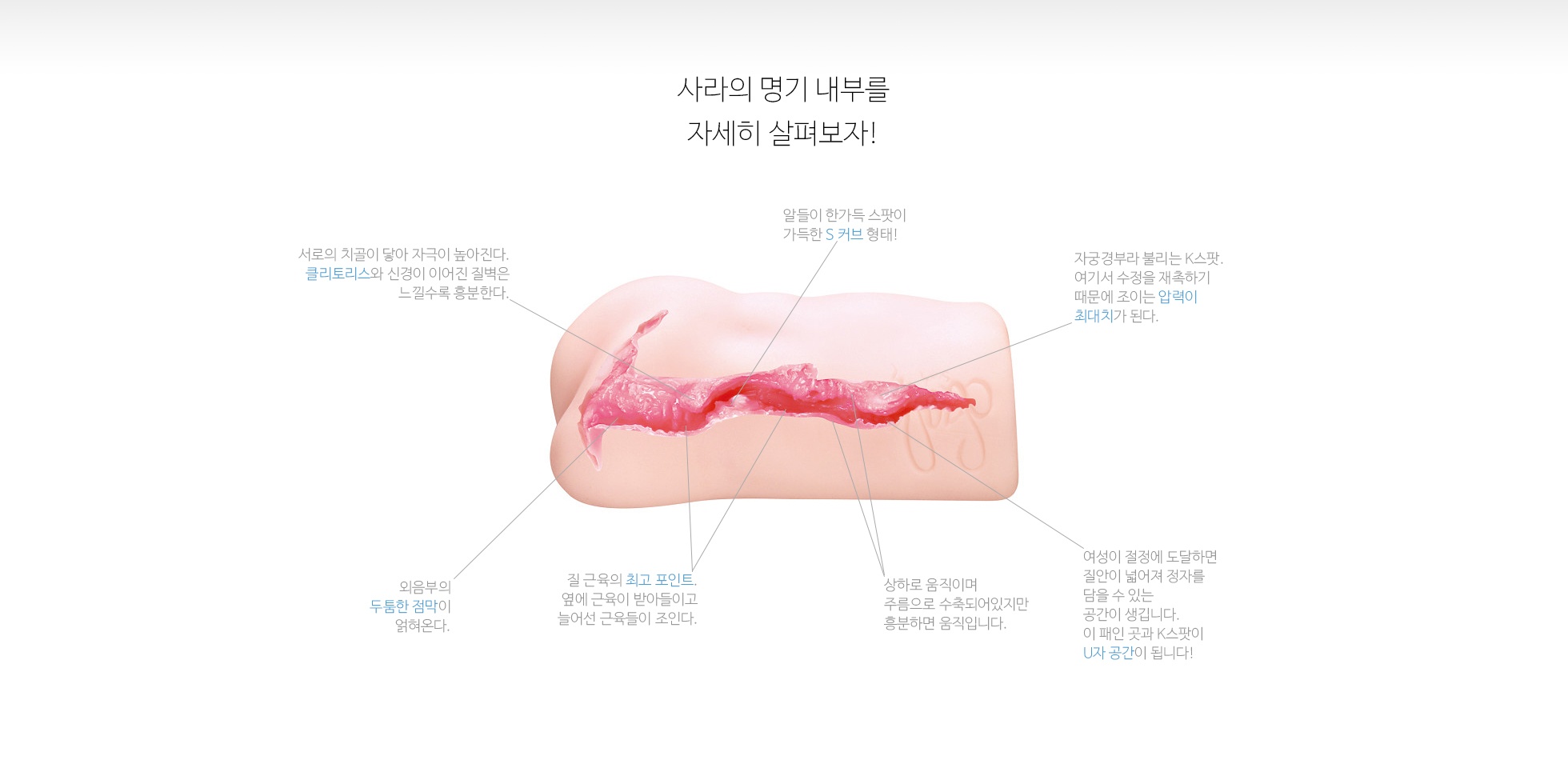 명기의 증명 7 사라 설명