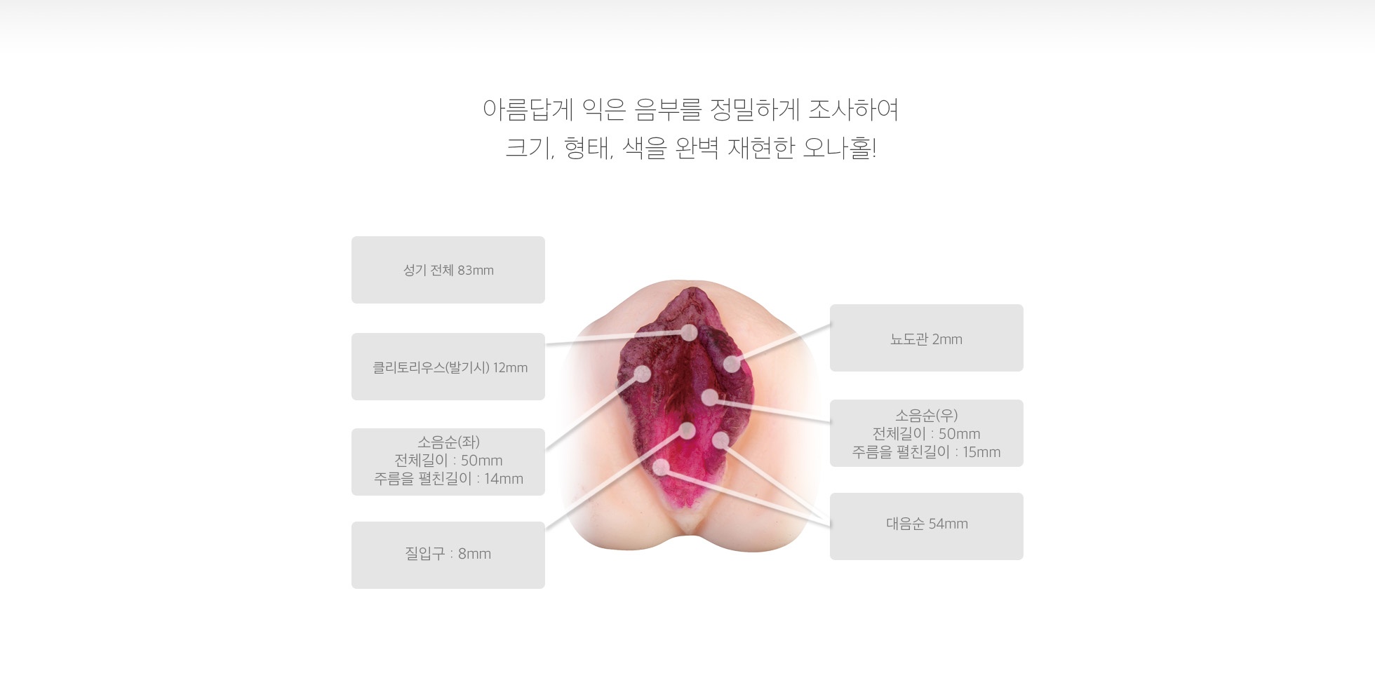 숙녀의별 카자마 유미 설명