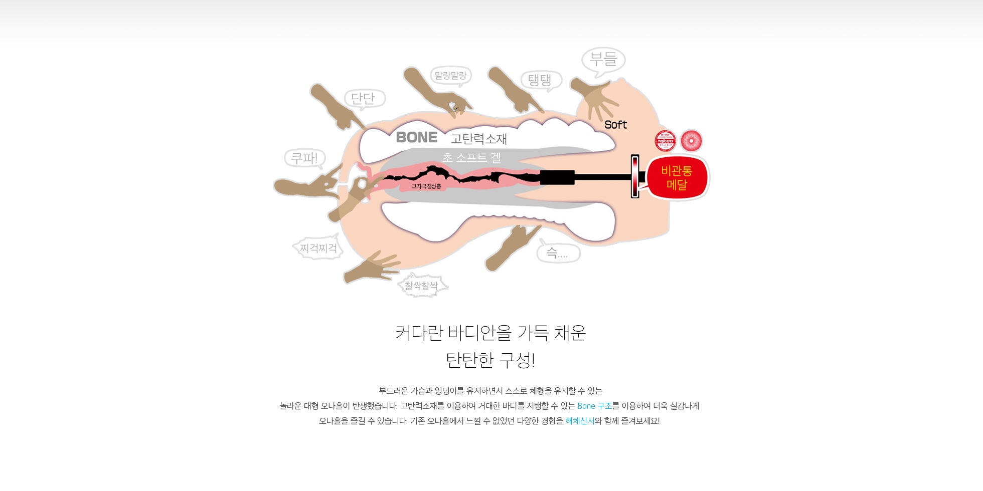 해체신서 설명