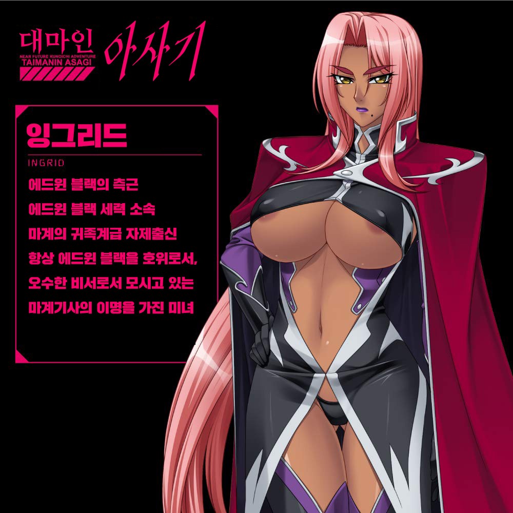 마계기사 잉그리드 다크플레임 홀 설명