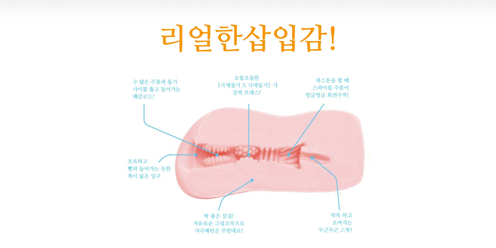 푸니버진 미니 설명