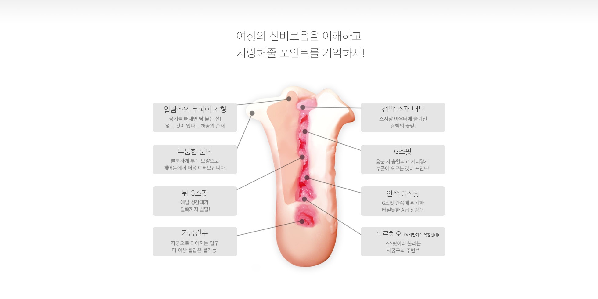 우먼즈 아이 Woman's(i) 설명