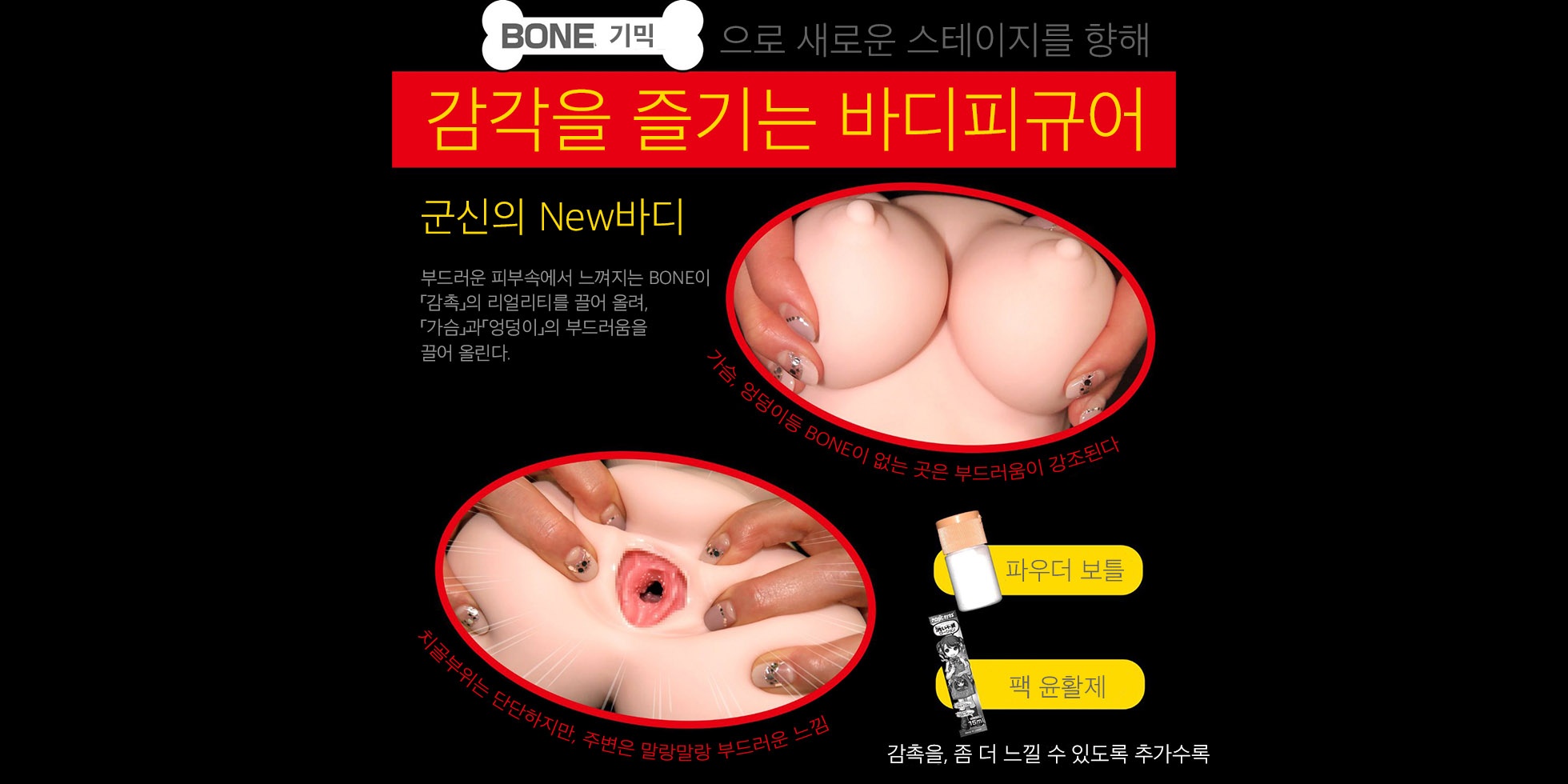 해체신서 설명