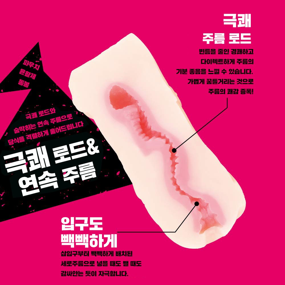 마계기사 잉그리드 다크플레임 홀 설명