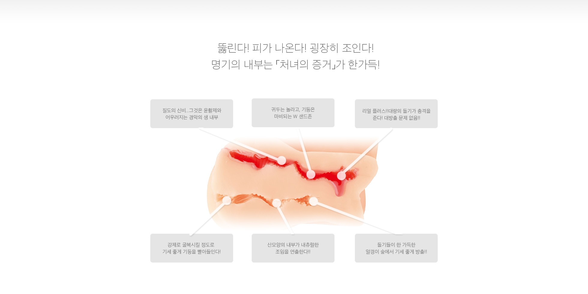 처녀 명기 아오이 치히로 설명