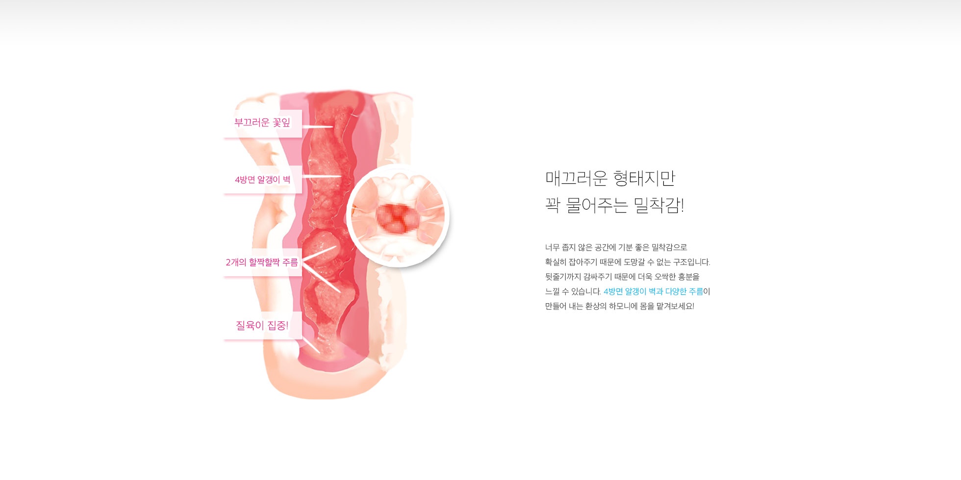 치츠니쿠 키츠키츠 -3중 구조 설명