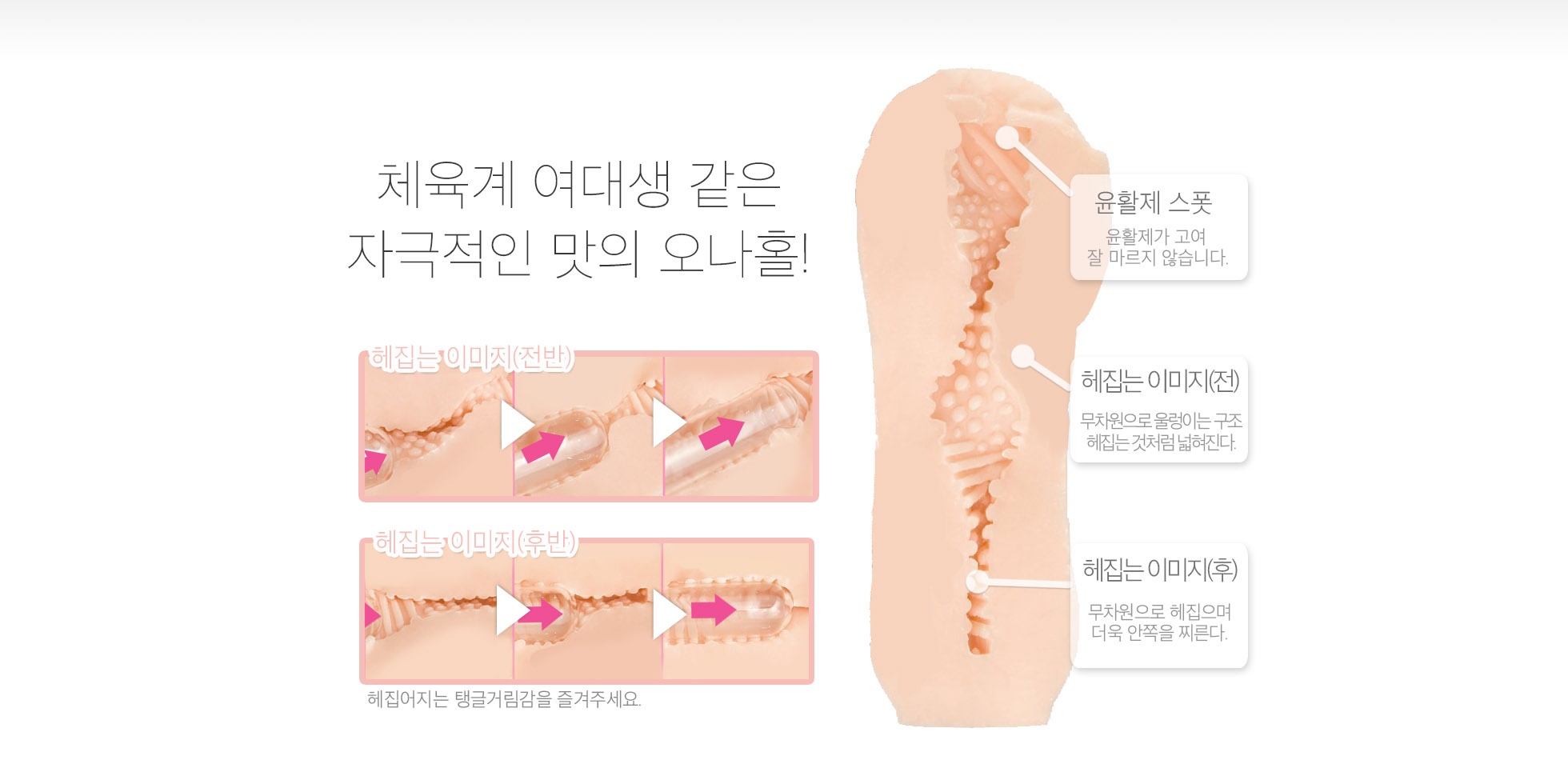 캠퍼스 라이프 체육소녀 설명