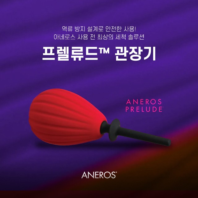 아네로스 프렐류드 관장기